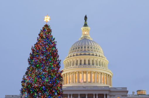 Christmas tree in early evening as sun setting over Washington DC