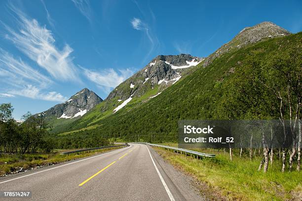 European Route E10 Running Through Lofoten Islands Stock Photo - Download Image Now - Arctic, Beauty In Nature, Birch Tree