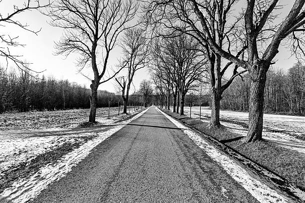 Winter on the Outskirts of Town lonely alley in the Vienna Woods vienna woods stock pictures, royalty-free photos & images