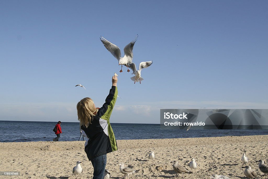 gulls per la nutrizione - Foto stock royalty-free di Bambino