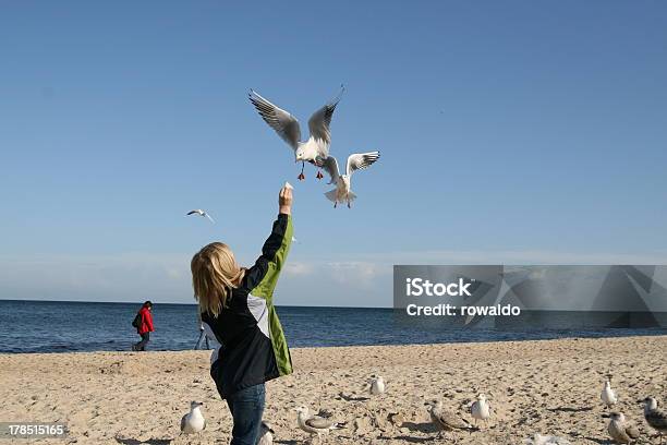 Gulls Per La Nutrizione - Fotografie stock e altre immagini di Bambino - Bambino, Osservare gli uccelli, Acqua