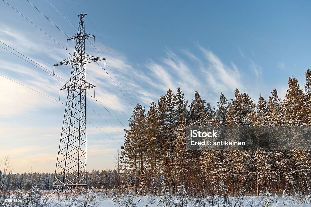 出力高電圧極冬の常緑樹 - ケーブル線のロイヤリティフリーストックフォト