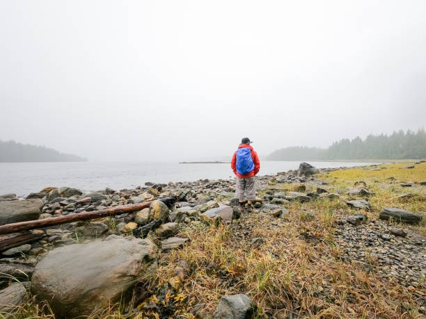 istock Senior Man Backpacker Hiking on Remote Wilderness Beach, Rainy Day 1785154320