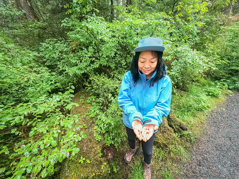 60+ Chinese woman showing edible wild huckleberries picked while hiking in the rain on a remote forest trail in Prince Rupert, British Columbia, Canada.