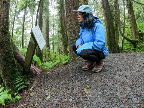 60+ Chinese woman studying an interpretive sign while hiking in the rain on a forest trail in Prince Rupert, British Columbia, Canada.