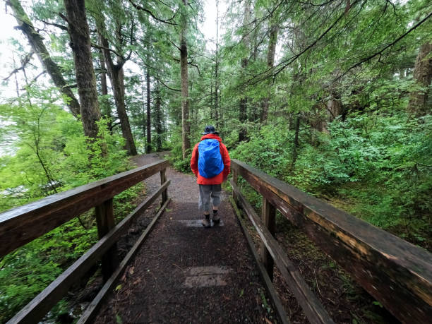 istock Senior Man Hiking Across Bridge on Remote Rainy Forest Trail 1785155381