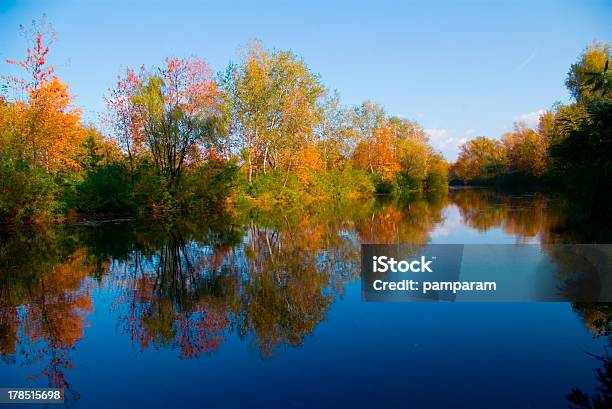 Pintoresco Paisaje De Otoño Río Y Bien Iluminada De Árboles Arbustos Foto de stock y más banco de imágenes de Agua