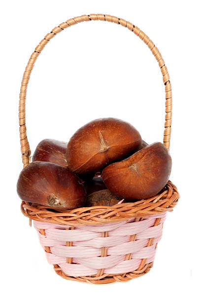 корзина chestnuts - chestnut basket large group of objects isolated стоковые фото и изображения