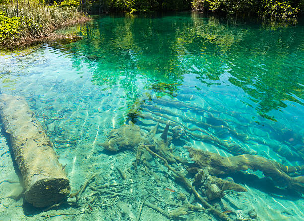 istock Summer azure  limpid  transparent lake (Plitvice, Croatia) 178515977