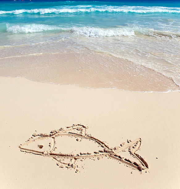 istock Children's picture on sand- a small fish 178516139