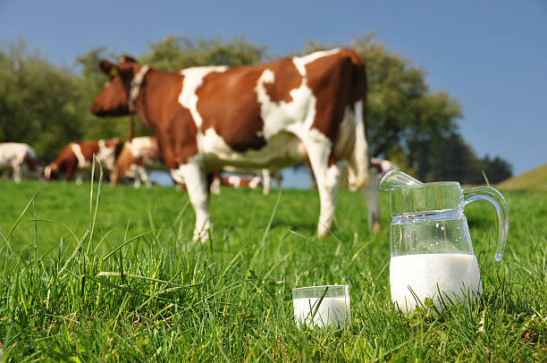 istock Jug of milk 178516156
