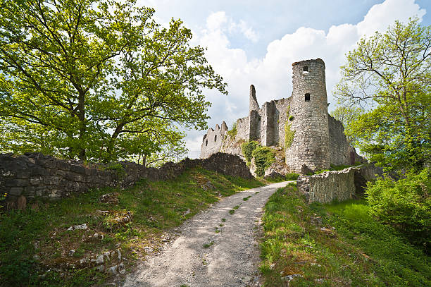 istock Castle Montaigle, Belgium 178516299