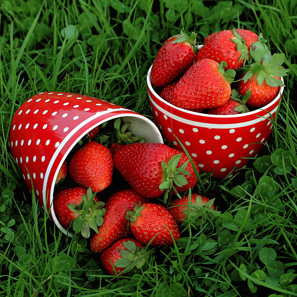 Strawberries stock photo