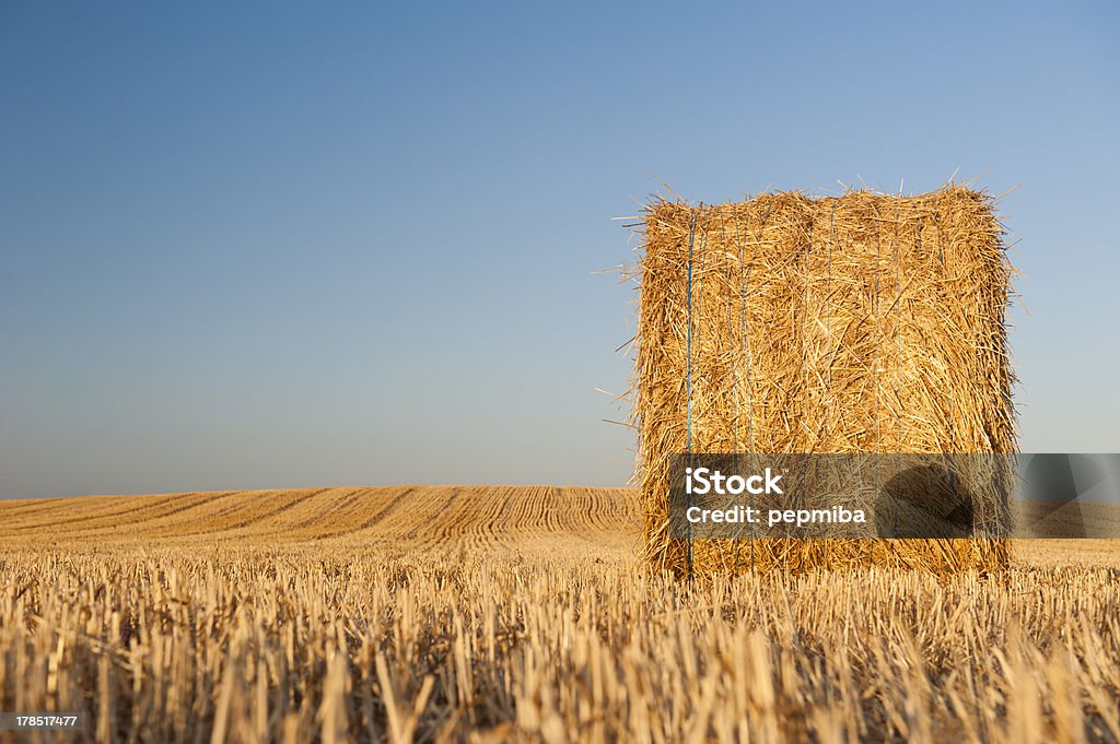 Bale de palha - Foto de stock de Agricultura royalty-free