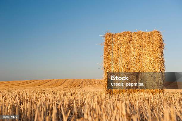 Foto de Bale De Palha e mais fotos de stock de Agricultura - Agricultura, Amarelo, Cena Rural