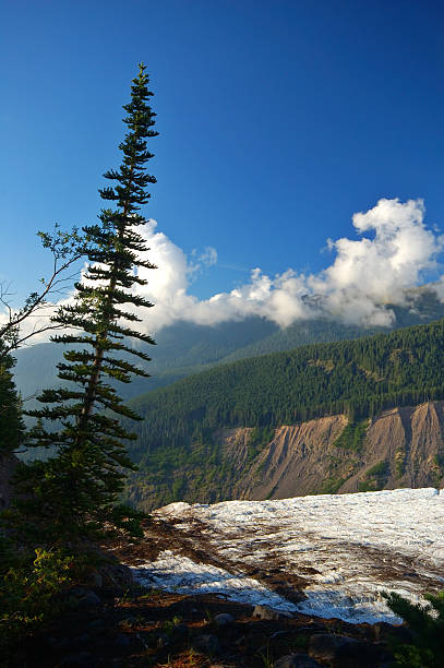 エッジの氷河 - north cascades national park glacier vertical photography ストックフォトと画像