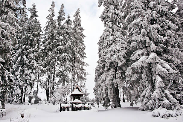 istock Chapel in the snowy woods 178517641