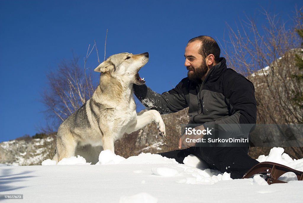 Homem brincando com o Cachorro - Royalty-free 30-39 Anos Foto de stock