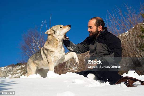 Homem Brincando Com O Cachorro - Fotografias de stock e mais imagens de 30-39 Anos - 30-39 Anos, 35-39 Anos, Adulto