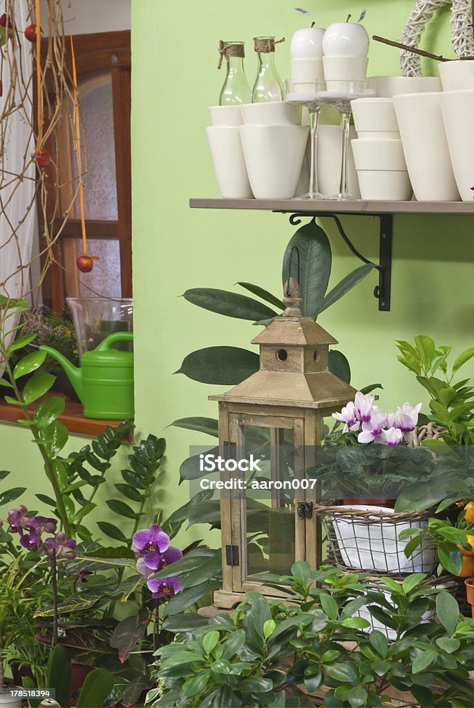 En la tienda de flores - Foto de stock de Cortina libre de derechos