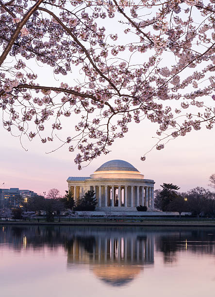 istock Cherry Blossom and Jefferson Memorial at sunrise 178518568