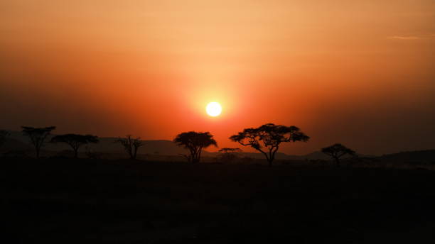 istock Spectacular sunset on the prairie 1785191860