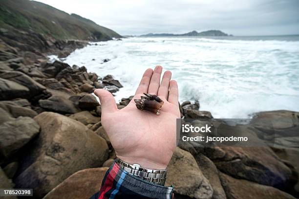 Percebes Pescados Y Mariscos Español Foto de stock y más banco de imágenes de Agua - Agua, Aire libre, Cielo