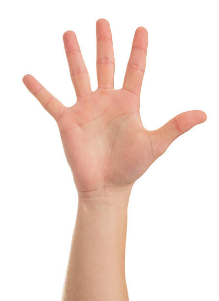 istock Close-up Of Human Hand 178520526