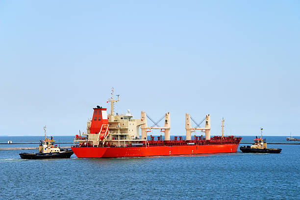 istock Tug boat helps to maneuver the ship 178520726