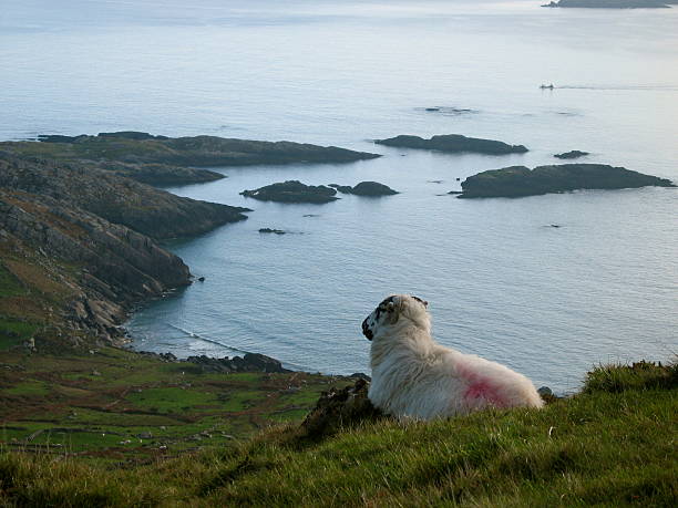 Los guardianes de Irlanda - foto de stock