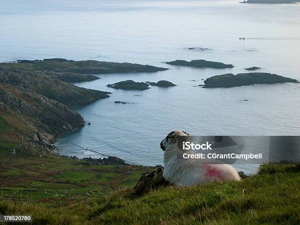 The Guardians Of Ireland Stock Photo - Download Image Now - Dingle Peninsula, Horizontal, Irish Culture