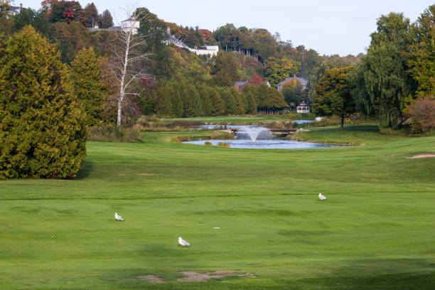 istock Beautiful golf course in the morning 1785208429