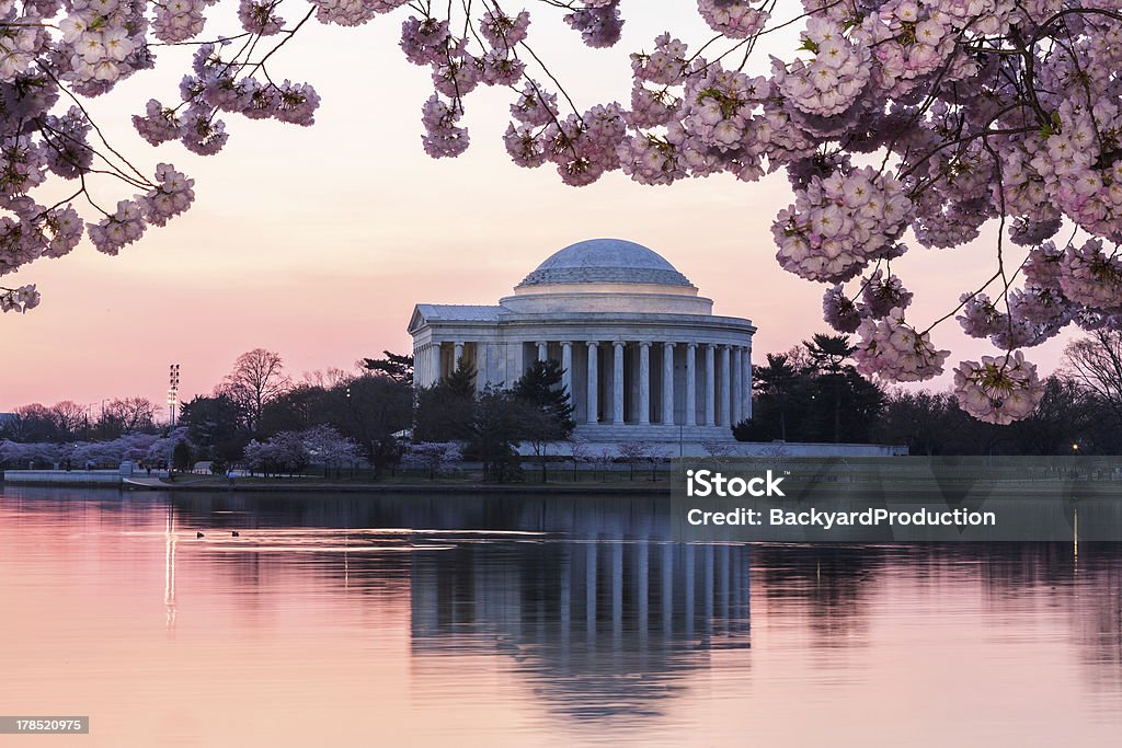 Cherry Blossom e o Memorial Jefferson ao nascer do sol - Foto de stock de Flor de Cerejeira royalty-free