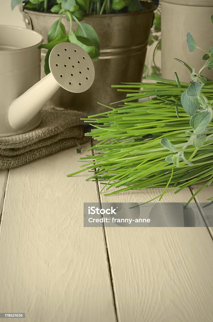 Горшках зеленой травы на сепия - Стоковые фото Алюминий роялти-фри