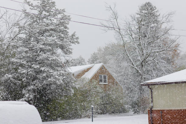 istock Visible falling snowflakes on trees in the street 1785212930
