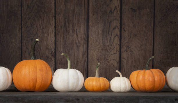 istock Pumpkins in a row against rustic wooden background 1785216235