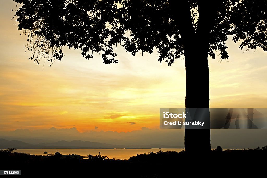 Sunrise behind tree Silhouette scene of sunrise behind tree Beauty In Nature Stock Photo