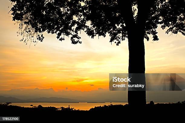 Sunrise Behind Tree Stock Photo - Download Image Now - Beauty In Nature, Black Color, Cloud - Sky