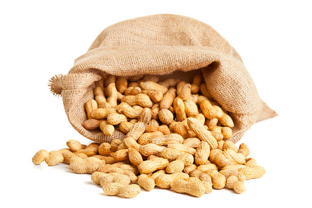 cacahuètes grillées - nobody food canvas peanut photos et images de collection