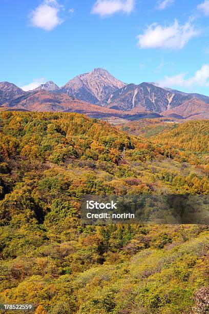 Mt Yatsugatake Im Herbst Stockfoto und mehr Bilder von Asien - Asien, Baum, Baumbestand