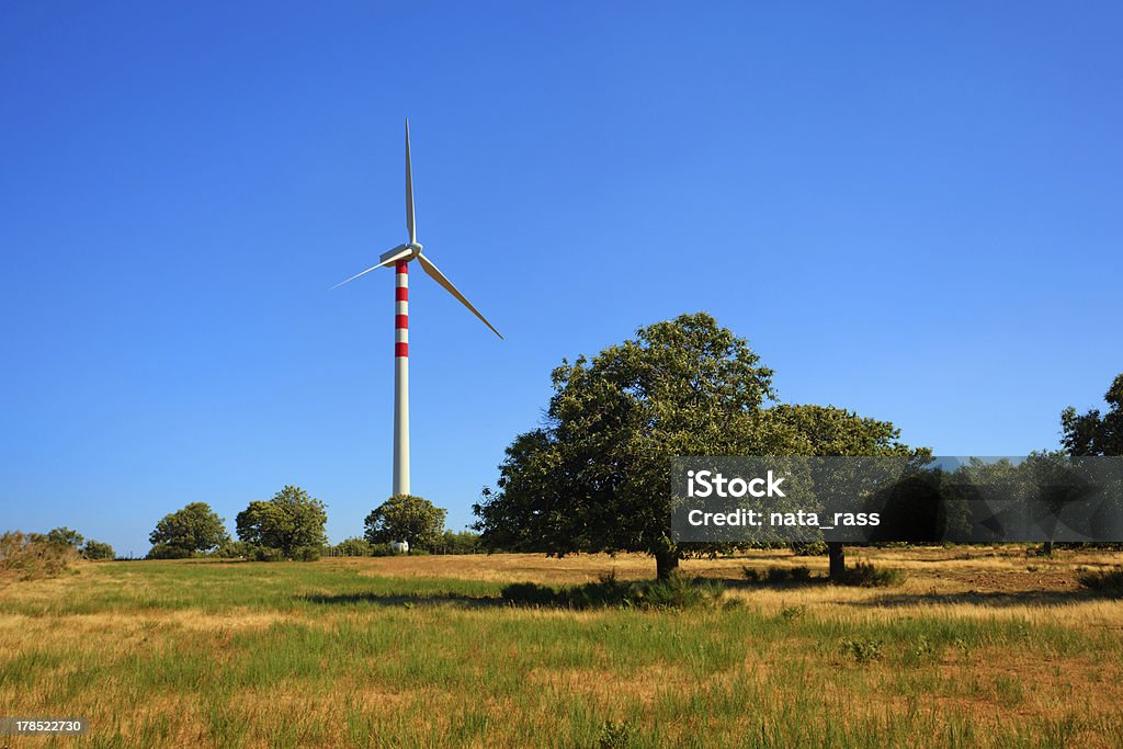 Energia Eolie A Calabria - Foto stock royalty-free di Albero