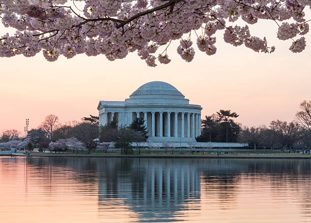 istock Cherry Blossom and Jefferson Memorial at sunrise 178522941