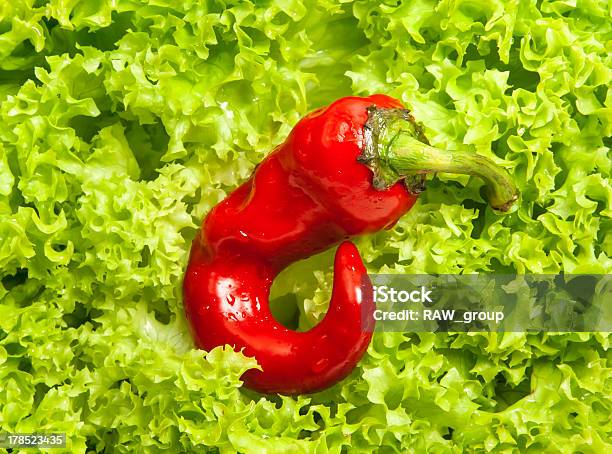 Świeżej Zielonej Sałaty Lodowej I Małe Czerwona Papryka Chili - zdjęcia stockowe i więcej obrazów Bez ludzi