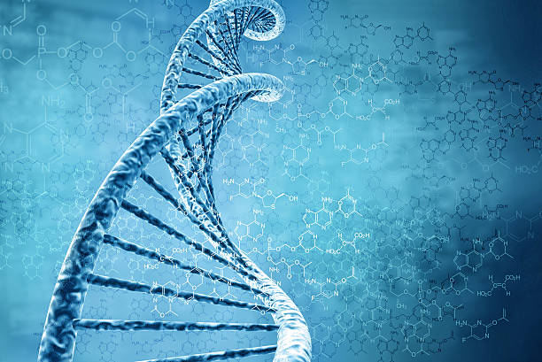 istock illustration of a dna 178523702