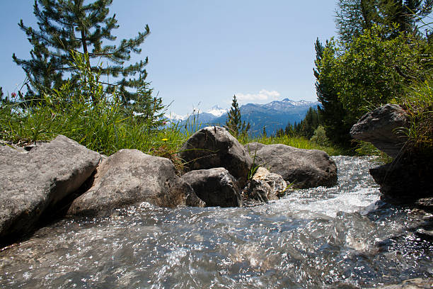 Mountain stream close-up view