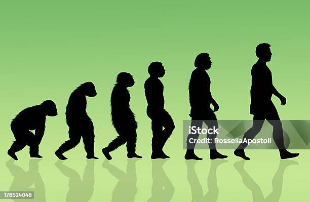 Silhouetted Figures Of The Evolution Process Stock Illustration ...