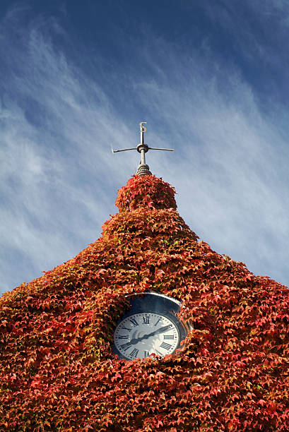 housetop mit roten wein - autumn clock roof colors stock-fotos und bilder