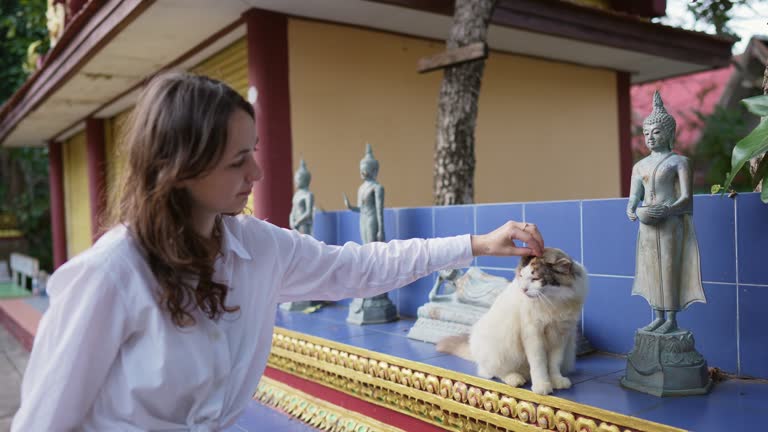 Woman petting cat in buddhist temple