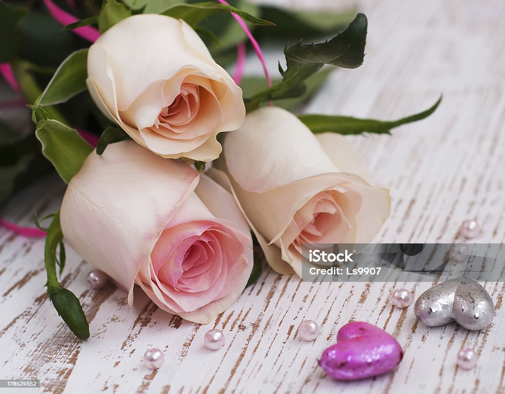 Pink Roses - Foto de stock de Belleza de la naturaleza libre de derechos