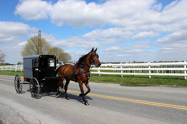 Amish Horse and buggy in Lancaster, Pennsylvania Amish horse and buggy on road in Lancaster, Pennsylvania in springtime. Horse and buggy are passing by a white fence with a graveyard behind. Bright blue sky and white fluffy clouds compliment the photo. Amish stock pictures, royalty-free photos & images